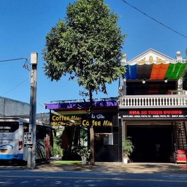 Thiện Dương 1