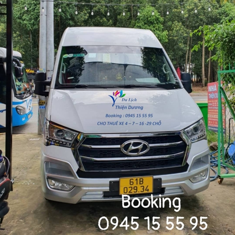 Thiện Dương 2